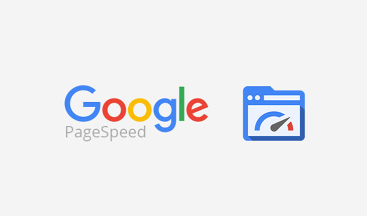 Google Page Speed logo