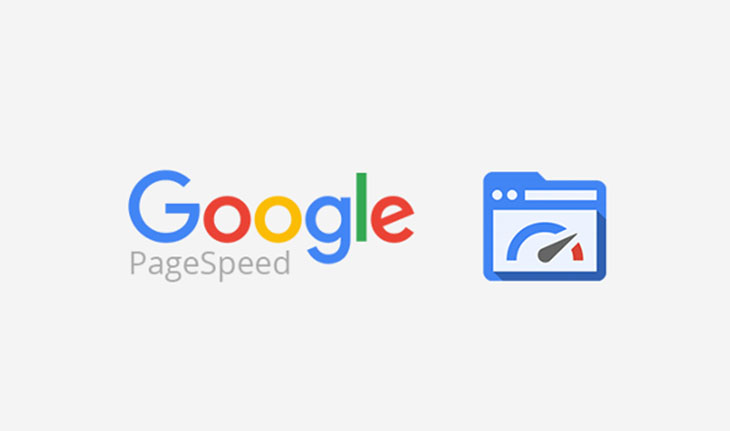 Google Page Speed Insight